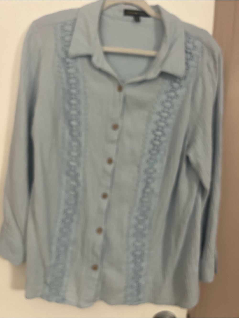 Adrienne Vittadini Pale Blue Button-Up Top